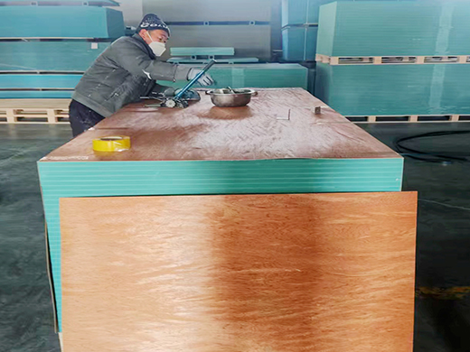 PVC plastic formwork shoring system (2)